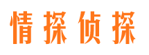 玛沁市婚姻调查